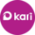 КАРИ КЗ